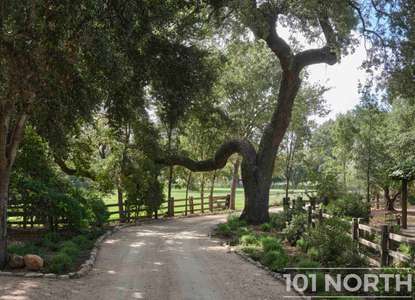 Traditional 02-88.jpg