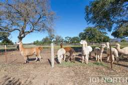 Ranch-Farm 19-38.jpg