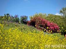 Garden 07-80.jpg