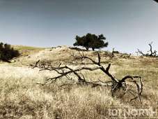 Ranch-Farm 10-140.jpg