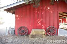 Americana 08-108.jpg