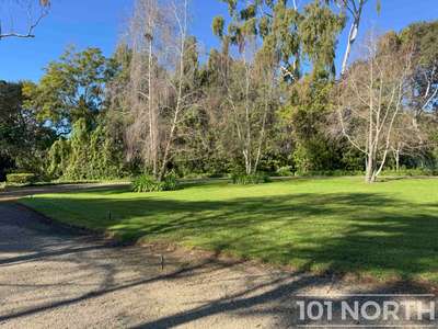 Traditional 16-3.jpg