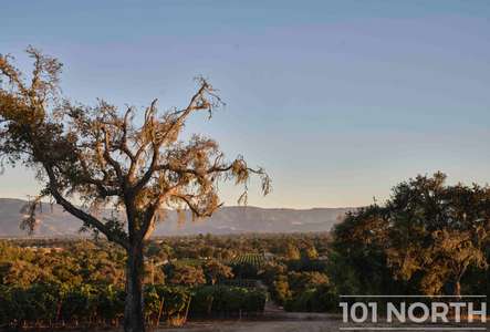 Traditional 02-82.jpg