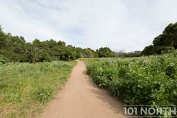 Recreational 19-40.jpg