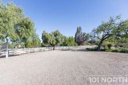 Mediterranean 08-16.jpg