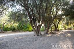 Mid Century 01-23.jpg