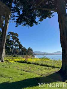 Traditional 16-85.jpg