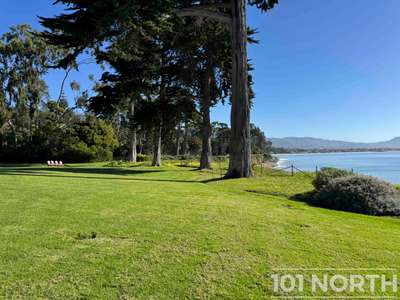 Traditional 16-71.jpg