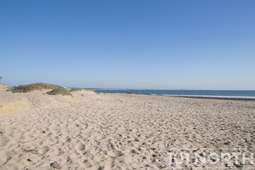 Beach 20 (112 of 38).jpg