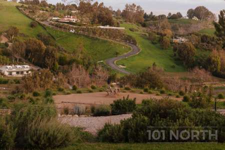 Contemporary 44-15.jpg