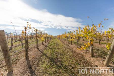 Winery 13-32.jpg