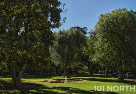 Traditional 02-47.jpg