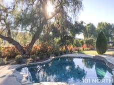 mid century 01_81.jpg