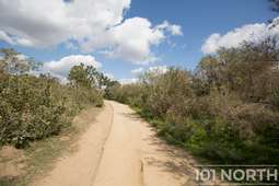 Recreational 02-28.jpg