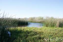 Ranch Farm 38 (186 of 222).jpg