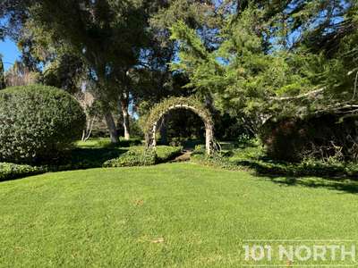 Traditional 16-101.jpg