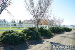 Americana 09-113.jpg