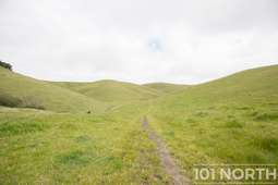 Ranch-Farm 20-182.jpg