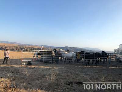Ranch-Farm 10-188.jpg