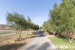 Americana 13-113.jpg