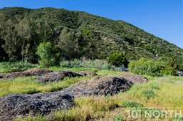 Ranch-Farm 25-26.jpg