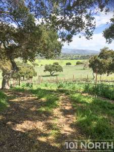 Ranch-Farm 06-88.jpg