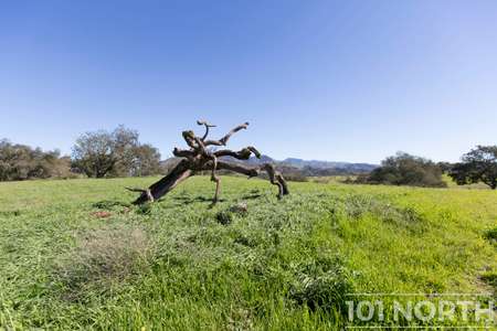 Ranch-Farm 06-84.jpg