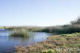 Ranch Farm 38 (193 of 222).jpg