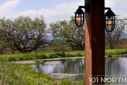 Winery 08-21.jpg