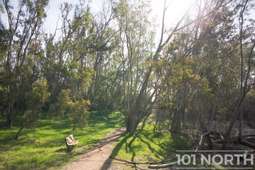 Recreational 08-7.jpg