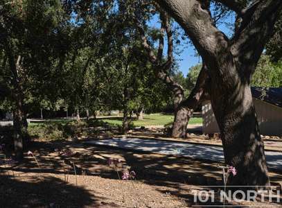 Traditional 02-74.jpg