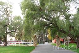 Ranch Farm 07-16.jpg