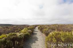 Recreational 17-6.jpg