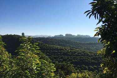 Spanish 04 COVER.jpg