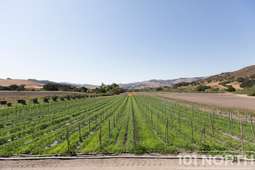 Ranch-Farm 26-20.jpg