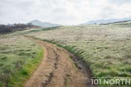 Recreational 24-31.jpg