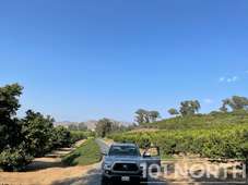 Ranch Farm 18-214.jpg