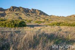 Recreational 23-40.jpg