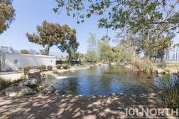 Recreational 15-21.jpg