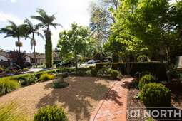 Traditional 13-26.jpg