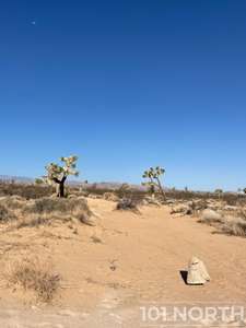 Desert 06-14.jpg
