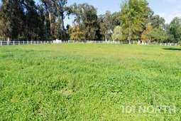 Ranch Farm 07-49.jpg