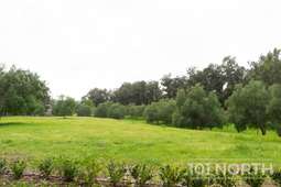 Ranch Farm 07-40.jpg