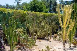 Mediterranean 10-57.jpg