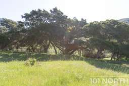 Ranch-Farm 21-24.jpg