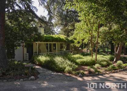 Traditional 02-37.jpg