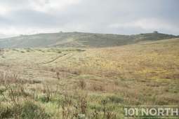 Recreational 24-10.jpg