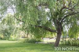 Equestrian 02-28.jpg