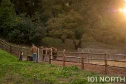 Contemporary 05-70.jpg