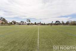 Recreational 14-5.jpg